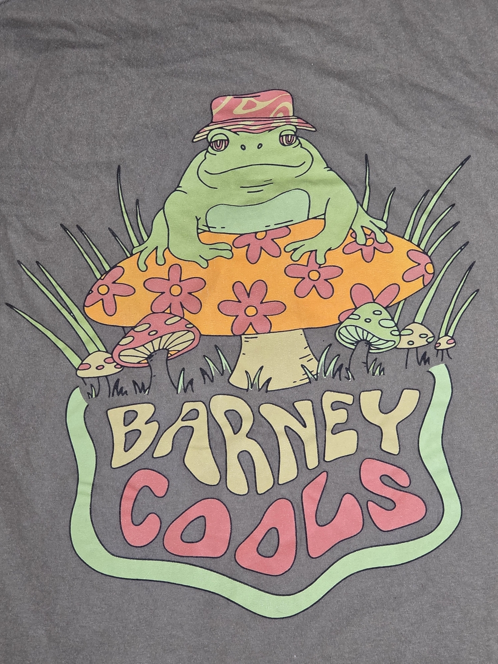Barney Cools Men's Frog On A Mushroom Graphic Tee Shirt Sz Lg *READ